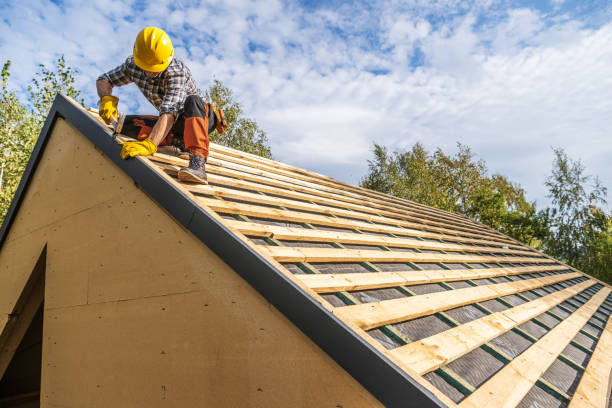 Best Shingle Roofing Installation  in Mccordsville, IN
